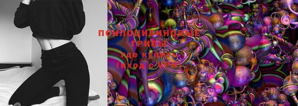 ГАЛЛЮЦИНОГЕННЫЕ ГРИБЫ Нягань