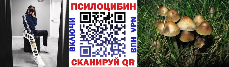 Галлюциногенные грибы MAGIC MUSHROOMS Мураши