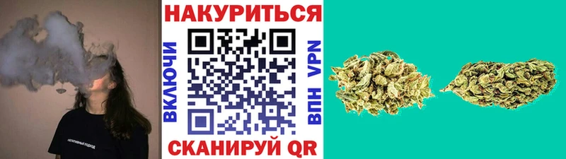 shop какой сайт  Мураши  Шишки марихуана White Widow 